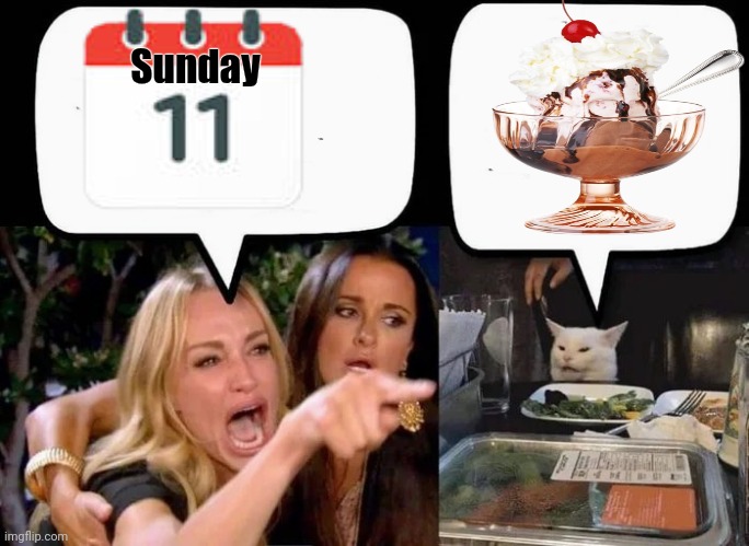 Don't eat the Cat | Sunday | image tagged in don't eat the cat | made w/ Imgflip meme maker