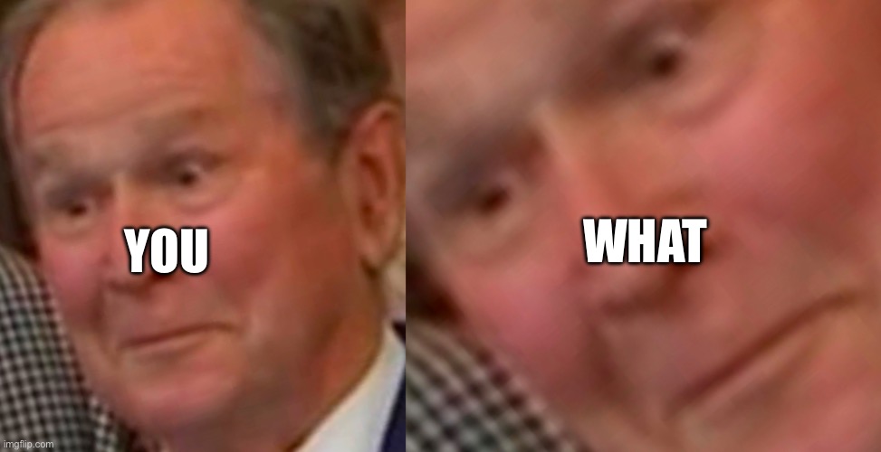 You what | WHAT; YOU | image tagged in george bush | made w/ Imgflip meme maker