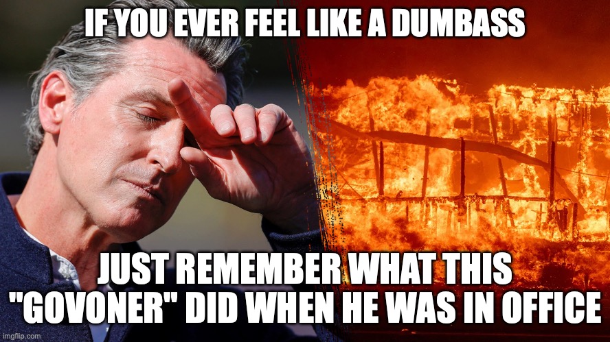 Gavin Newsom incompetence | IF YOU EVER FEEL LIKE A DUMBASS; JUST REMEMBER WHAT THIS "GOVONER" DID WHEN HE WAS IN OFFICE | image tagged in california,california fires,incompetence | made w/ Imgflip meme maker