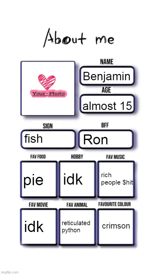 hivemind | Benjamin; almost 15; fish; Ron; idk; pie; rich people $hit; crimson; idk; reticulated python | image tagged in about me | made w/ Imgflip meme maker