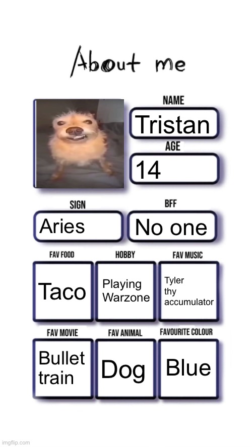 should I do this again but with an actually picture of me | Tristan; 14; Aries; No one; Playing Warzone; Taco; Tyler thy accumulator; Blue; Bullet train; Dog | made w/ Imgflip meme maker