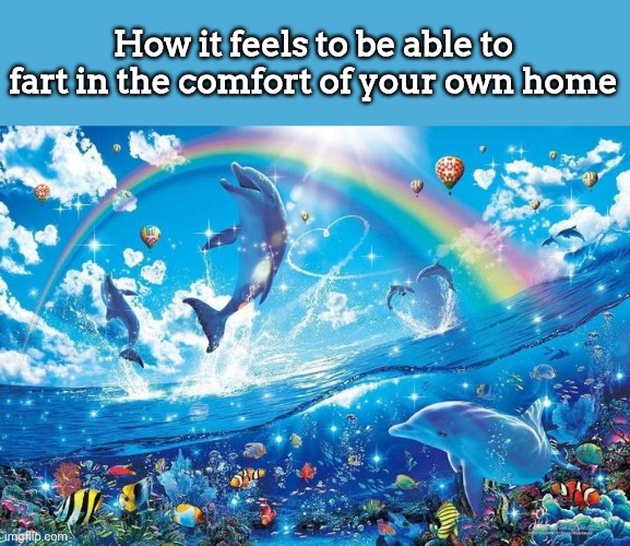 Happy dolphin rainbow | How it feels to be able to fart in the comfort of your own home | image tagged in happy dolphin rainbow | made w/ Imgflip meme maker