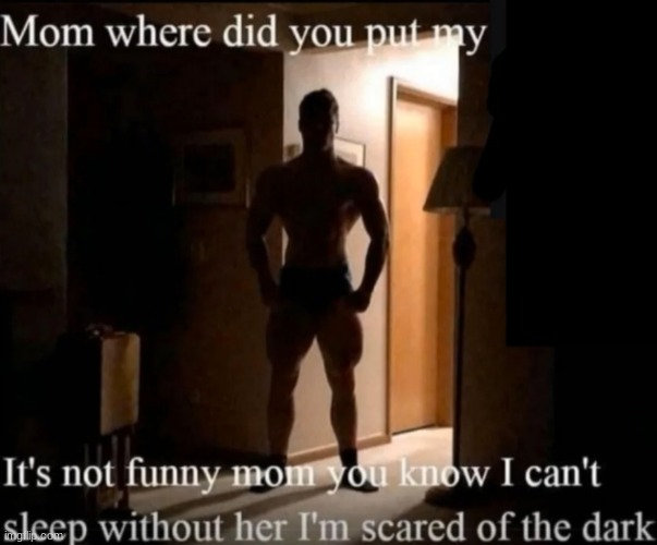 Made this new temp | image tagged in mom where did you put my _ | made w/ Imgflip meme maker