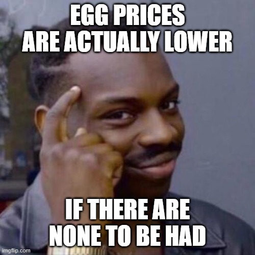 Thinking man meme | EGG PRICES ARE ACTUALLY LOWER; IF THERE ARE NONE TO BE HAD | image tagged in thinking man meme | made w/ Imgflip meme maker