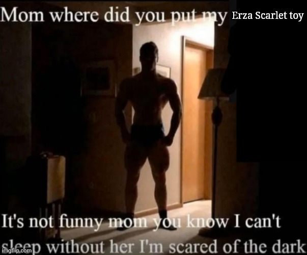 LMAO | Erza Scarlet toy | image tagged in mom where did you put my _ | made w/ Imgflip meme maker