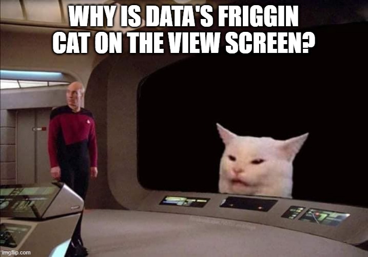 Don't Think That's Spot Captain | WHY IS DATA'S FRIGGIN CAT ON THE VIEW SCREEN? | image tagged in picard confused about cat | made w/ Imgflip meme maker