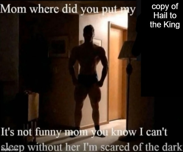 Mom where did you put my _ | copy of Hail to the King | image tagged in mom where did you put my _ | made w/ Imgflip meme maker