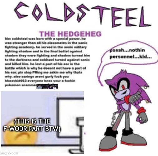 Coldsteel the Hedgeheg + Bio | (THIS IS THE F-WODR PART BTW) | image tagged in coldsteel the hedgeheg bio | made w/ Imgflip meme maker