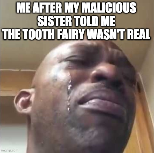 Crying guy meme | ME AFTER MY MALICIOUS SISTER TOLD ME THE TOOTH FAIRY WASN'T REAL | image tagged in crying guy meme | made w/ Imgflip meme maker