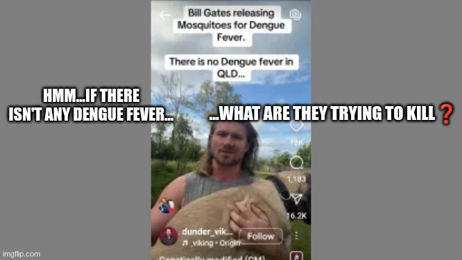 HMM...IF THERE ISN'T ANY DENGUE FEVER... ...WHAT ARE THEY TRYING TO KILL❓ | made w/ Imgflip meme maker