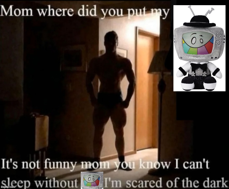 Mom where did you put my _ | image tagged in mom where did you put my _ | made w/ Imgflip meme maker