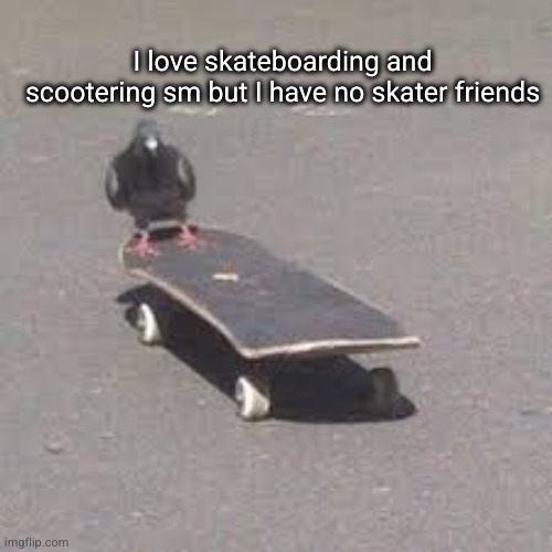 saddest moment ever I'ma die alone | I love skateboarding and scootering sm but I have no skater friends | image tagged in pigeon on a skateboard,skateboarding,skateboard,scooter,sad,sad but true | made w/ Imgflip meme maker