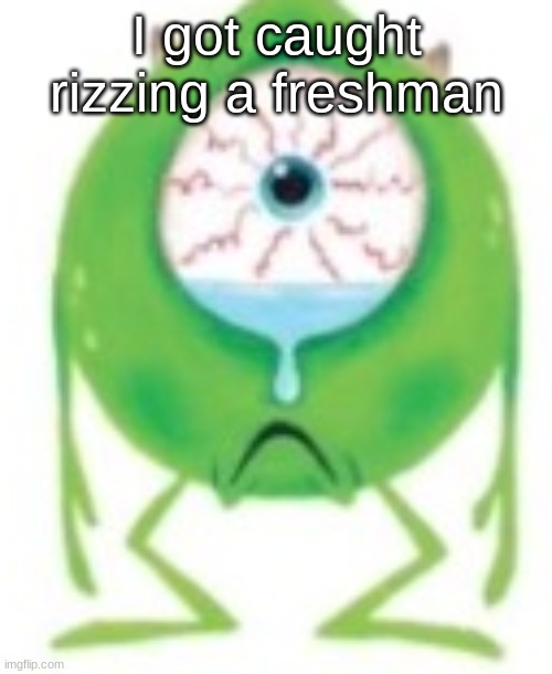 /j | I got caught rizzing a freshman | image tagged in mike cry | made w/ Imgflip meme maker