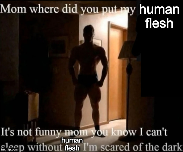 Mom where did you put my _ | human flesh; human flesh | image tagged in mom where did you put my _ | made w/ Imgflip meme maker