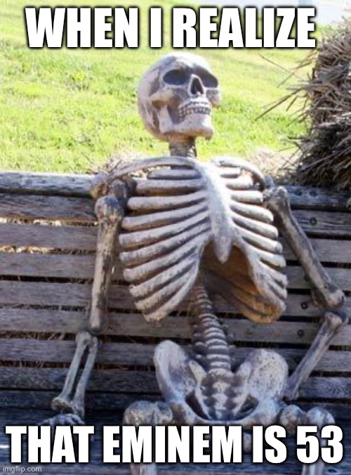 Waiting Skeleton | WHEN I REALIZE; THAT EMINEM IS 53 | image tagged in memes,waiting skeleton | made w/ Imgflip meme maker