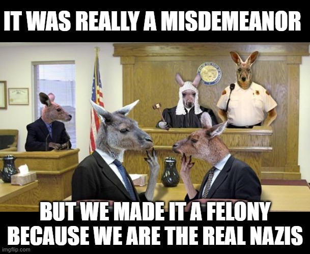 Kangaroo Court | IT WAS REALLY A MISDEMEANOR BUT WE MADE IT A FELONY BECAUSE WE ARE THE REAL NAZIS | image tagged in kangaroo court | made w/ Imgflip meme maker