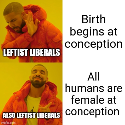 Drake Hotline Bling Meme | Birth begins at conception All humans are female at conception LEFTIST LIBERALS ALSO LEFTIST LIBERALS | image tagged in memes,drake hotline bling | made w/ Imgflip meme maker