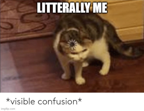 visible confusion | LITTERALLY ME | image tagged in visible confusion | made w/ Imgflip meme maker