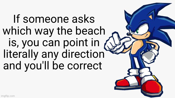 you must listen to the wisdom of sonik | If someone asks which way the beach is, you can point in literally any direction and you'll be correct | image tagged in sonic says,sonic,funny,memes,beach,shower thoughts | made w/ Imgflip meme maker