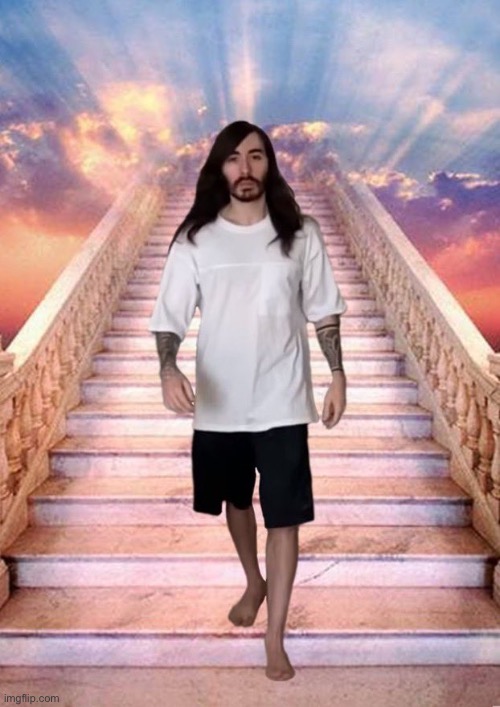 I descend from heaven | image tagged in i descend from heaven | made w/ Imgflip meme maker