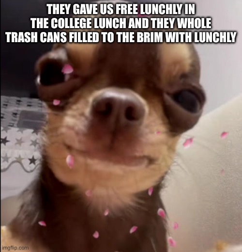 THEY GAVE US FREE LUNCHLY IN THE COLLEGE LUNCH AND THEY WHOLE TRASH CANS FILLED TO THE BRIM WITH LUNCHLY | made w/ Imgflip meme maker