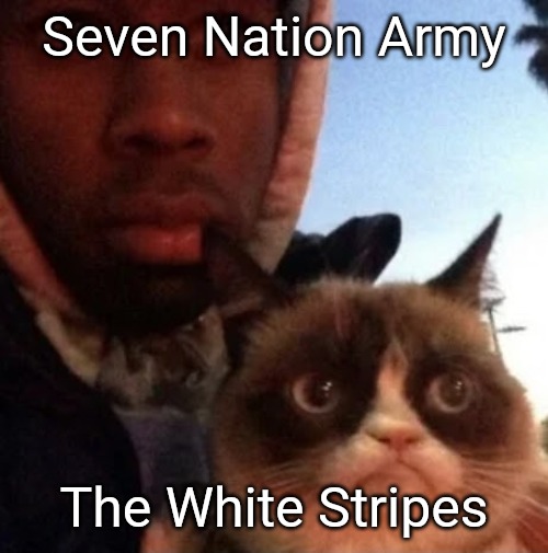 tyler the creator and grumpy cat | Seven Nation Army; The White Stripes | image tagged in tyler the creator and grumpy cat | made w/ Imgflip meme maker