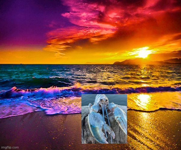 Beautiful Sunset | image tagged in beautiful sunset | made w/ Imgflip meme maker