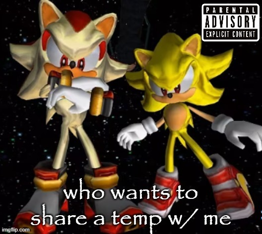 why the slash look so goofy | who wants to share a temp w/ me | image tagged in sonic n shadow | made w/ Imgflip meme maker