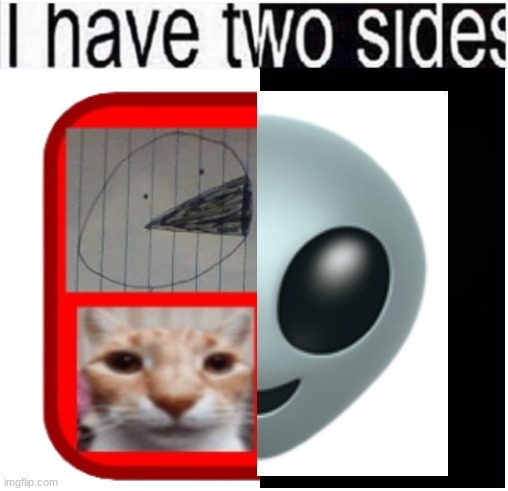 Vorp? | image tagged in i have two sides | made w/ Imgflip meme maker