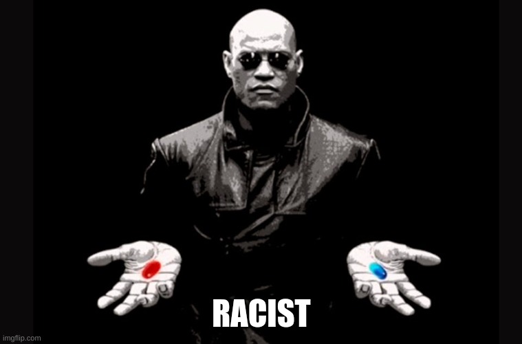 Matrix meme | RACIST | image tagged in racist,funny,matrix morpheus | made w/ Imgflip meme maker