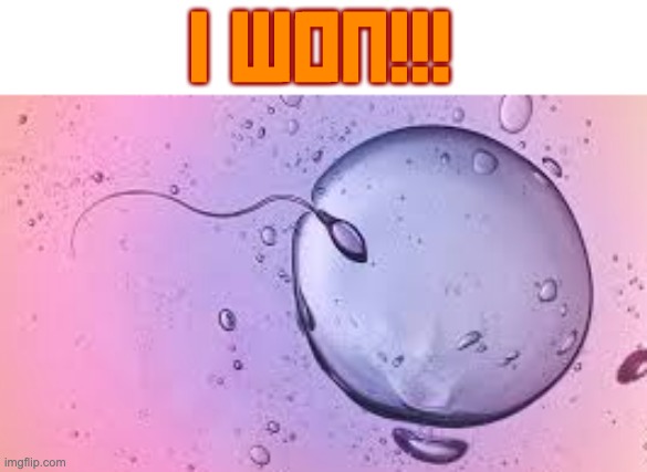 YESSSSSSS | I WON!!! | image tagged in winner | made w/ Imgflip meme maker