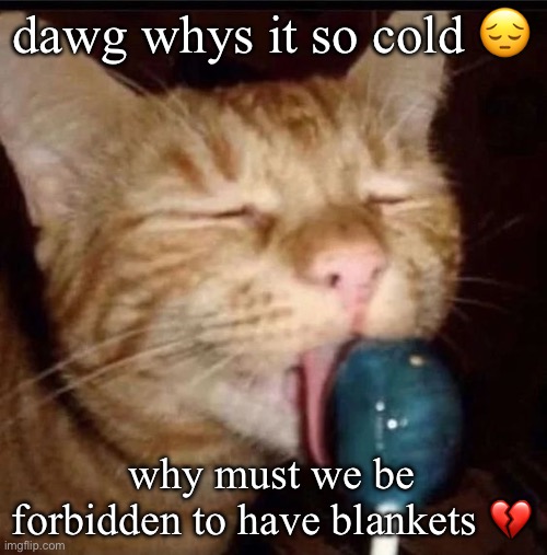 last class tho so yay ig | dawg whys it so cold 😔; why must we be forbidden to have blankets 💔 | image tagged in silly goober 2 | made w/ Imgflip meme maker