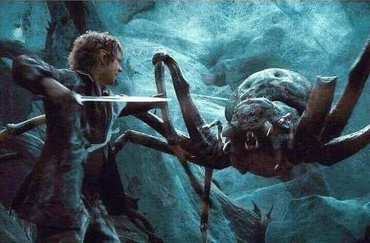 Bilbo vs. Mirkwood Spider Blank Meme Template