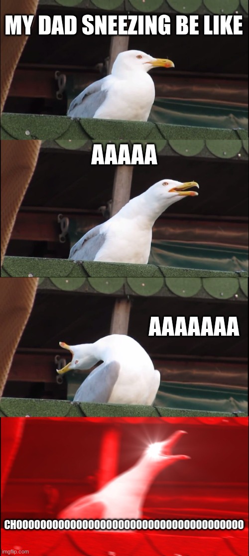 no matter what kind of person they are, they always sneeze so violently | MY DAD SNEEZING BE LIKE; AAAAA; AAAAAAA; CHOOOOOOOOOOOOOOOOOOOOOOOOOOOOOOOOOOOOOO | image tagged in memes,inhaling seagull | made w/ Imgflip meme maker