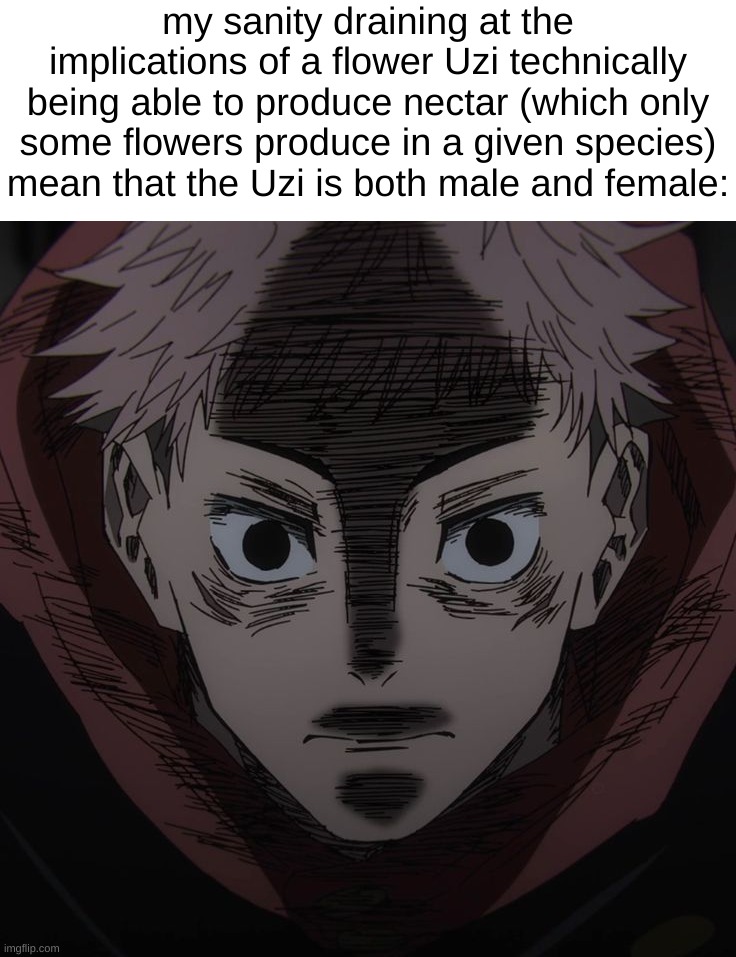 my sanity draining at the implications of a flower Uzi technically being able to produce nectar (which only some flowers produce in a given species) mean that the Uzi is both male and female: | made w/ Imgflip meme maker