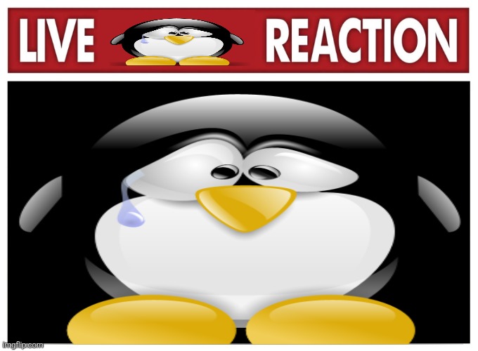 Live reaction | image tagged in live reaction | made w/ Imgflip meme maker