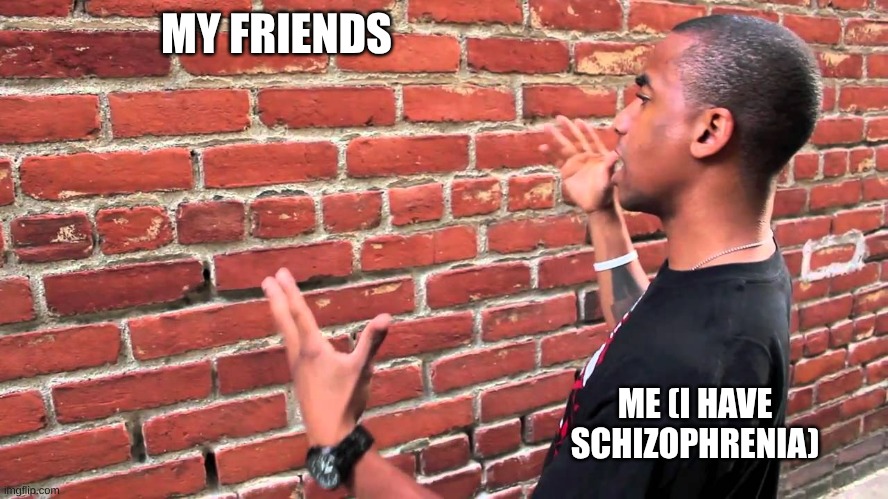 heehee | MY FRIENDS; ME (I HAVE SCHIZOPHRENIA) | image tagged in talking to wall | made w/ Imgflip meme maker