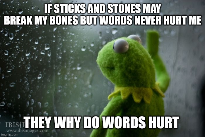 Why | IF STICKS AND STONES MAY BREAK MY BONES BUT WORDS NEVER HURT ME; THEY WHY DO WORDS HURT | image tagged in kermit window,why | made w/ Imgflip meme maker