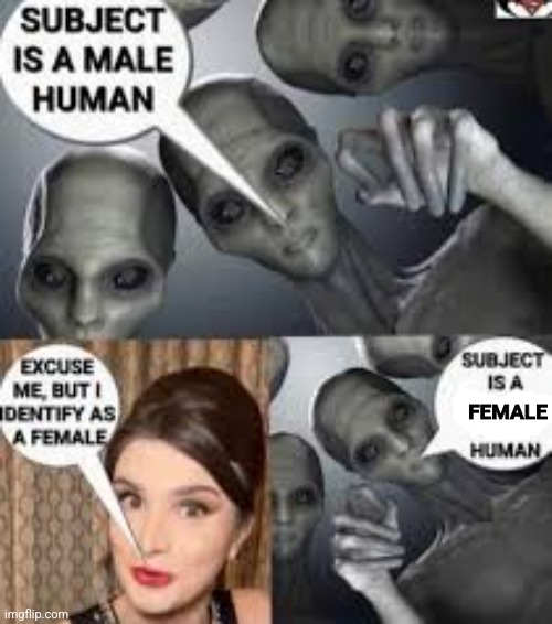 FEMALE | image tagged in memes,shitpost,lgbtq,oh wow are you actually reading these tags | made w/ Imgflip meme maker