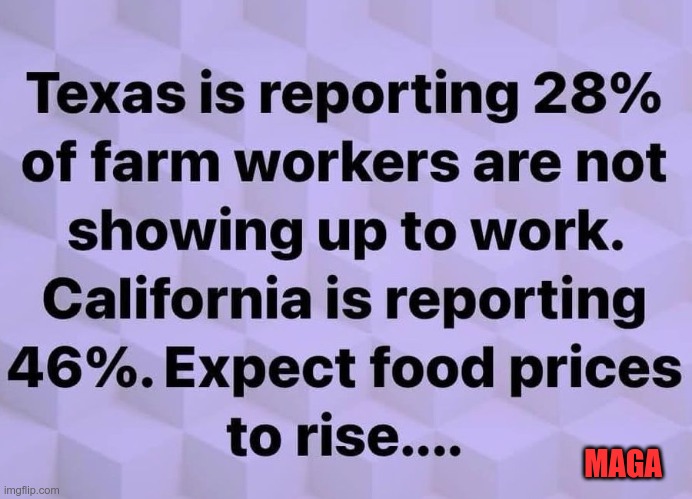 And here we go… | MAGA | image tagged in trump,maga,fascist,nazis,gop | made w/ Imgflip meme maker