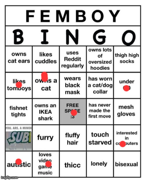 Femboy Bingo | image tagged in femboy bingo | made w/ Imgflip meme maker