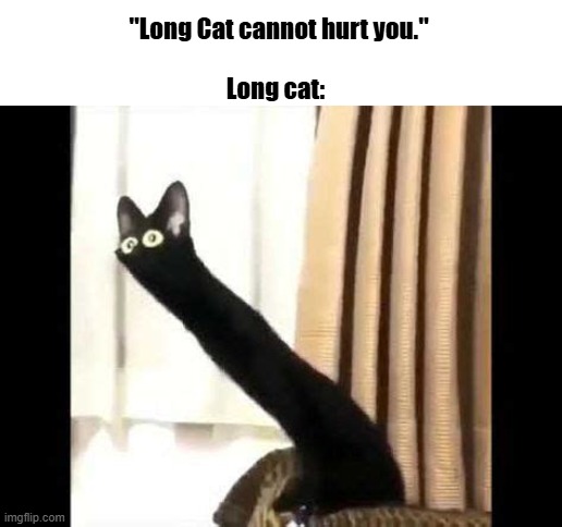 Somebody take this mf to the vet | Long cat:; "Long Cat cannot hurt you." | image tagged in fun,cat,why are you reading the tags | made w/ Imgflip meme maker