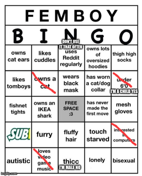 Femboy Bingo | DON'T USE IT THAT OFTEN; I'M A CHILD YES; I'M MALE NO | image tagged in femboy bingo | made w/ Imgflip meme maker