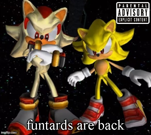 sonic n shadow | funtards are back | image tagged in sonic n shadow | made w/ Imgflip meme maker