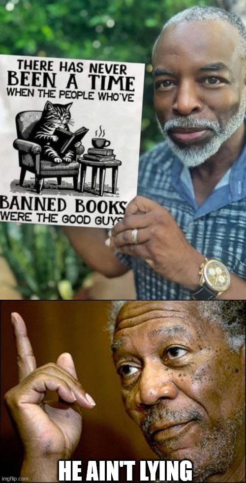 Political Correctness = Foolishness | HE AIN'T LYING | image tagged in this morgan freeman,politics,memes | made w/ Imgflip meme maker