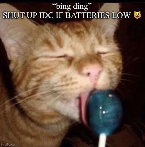 silly goober 2 | “bing ding”

SHUT UP IDC IF BATTERIES LOW 😾 | image tagged in silly goober 2 | made w/ Imgflip meme maker