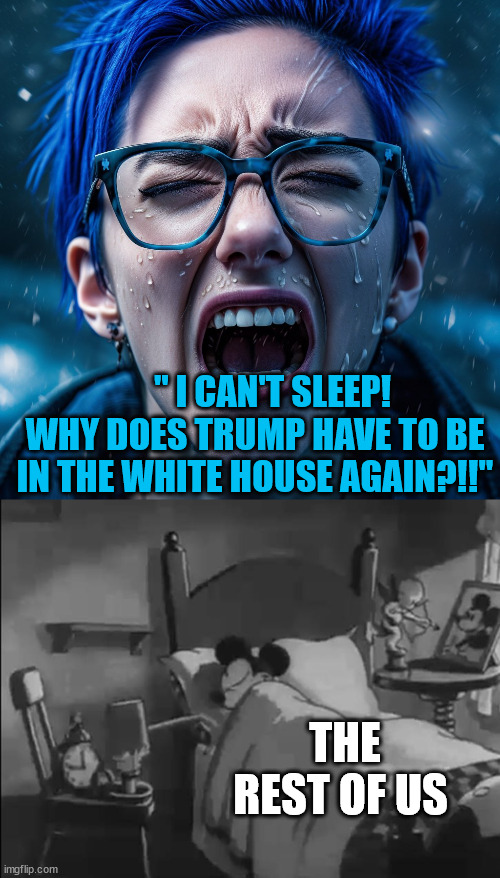 Winners and Losers | " I CAN'T SLEEP! WHY DOES TRUMP HAVE TO BE IN THE WHITE HOUSE AGAIN?!!"; THE REST OF US | image tagged in sleeping mickey mouse,politics,memes | made w/ Imgflip meme maker