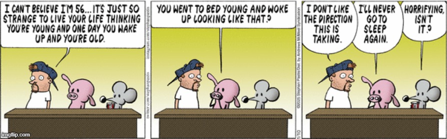 Pearls Before Swine | image tagged in comics | made w/ Imgflip meme maker