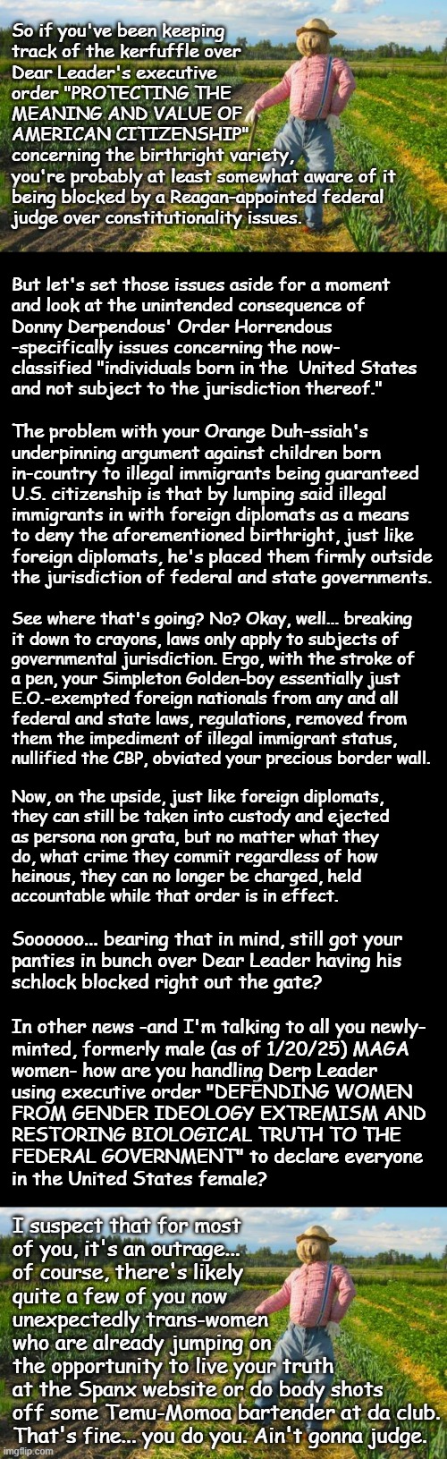 Well howdy, Trump-cult kids, it's Socialism again and today's topic is pinnacles of self-defeat. | So if you've been keeping
track of the kerfuffle over
Dear Leader's executive
order "PROTECTING THE
MEANING AND VALUE OF
AMERICAN CITIZENSHIP"
concerning the birthright variety,
you're probably at least somewhat aware of it
being blocked by a Reagan-appointed federal
judge over constitutionality issues. But let's set those issues aside for a moment
and look at the unintended consequence of
Donny Derpendous' Order Horrendous 
-specifically issues concerning the now-
classified "individuals born in the  United States
and not subject to the jurisdiction thereof."; The problem with your Orange Duh-ssiah's
underpinning argument against children born
in-country to illegal immigrants being guaranteed
U.S. citizenship is that by lumping said illegal
immigrants in with foreign diplomats as a means
to deny the aforementioned birthright, just like
foreign diplomats, he's placed them firmly outside
the jurisdiction of federal and state governments. See where that's going? No? Okay, well... breaking
it down to crayons, laws only apply to subjects of
governmental jurisdiction. Ergo, with the stroke of
a pen, your Simpleton Golden-boy essentially just
E.O.-exempted foreign nationals from any and all
federal and state laws, regulations, removed from
them the impediment of illegal immigrant status,
nullified the CBP, obviated your precious border wall. Now, on the upside, just like foreign diplomats,
they can still be taken into custody and ejected
as persona non grata, but no matter what they
do, what crime they commit regardless of how
heinous, they can no longer be charged, held
accountable while that order is in effect. Soooooo... bearing that in mind, still got your
panties in bunch over Dear Leader having his
schlock blocked right out the gate? In other news -and I'm talking to all you newly-
minted, formerly male (as of 1/20/25) MAGA
women- how are you handling Derp Leader
using executive order "DEFENDING WOMEN
FROM GENDER IDEOLOGY EXTREMISM AND
RESTORING BIOLOGICAL TRUTH TO THE
FEDERAL GOVERNMENT" to declare everyone
in the United States female? I suspect that for most
of you, it's an outrage...
of course, there's likely
quite a few of you now
unexpectedly trans-women
who are already jumping on
the opportunity to live your truth
at the Spanx website or do body shots
off some Temu-Momoa bartender at da club.
That's fine... you do you. Ain't gonna judge. | image tagged in trump unfit unqualified dangerous,too stupid to potus,caligula was more sane,things that happen,when you don't know biology | made w/ Imgflip meme maker