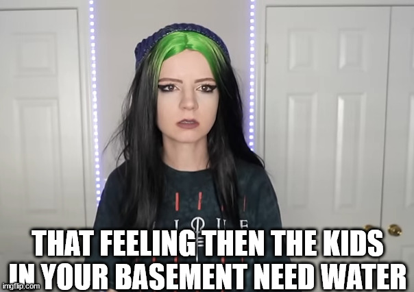 So annoying | THAT FEELING THEN THE KIDS IN YOUR BASEMENT NEED WATER | image tagged in h | made w/ Imgflip meme maker